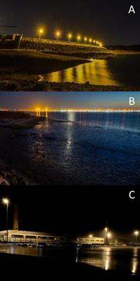 Artificial Light at Night: A New Challenge in Microphytobenthos Research